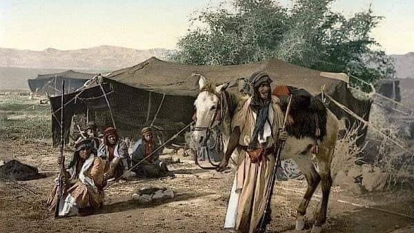 موقع أيام نيوز