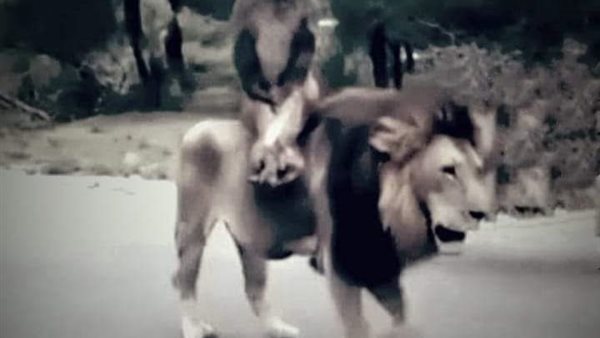 موقع أيام نيوز