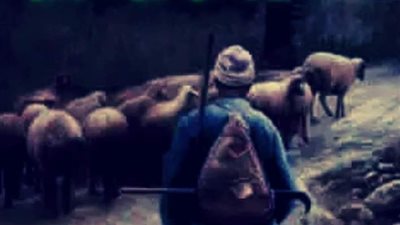 الراعي الأمين