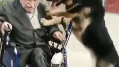 الملياردير 