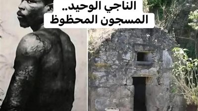 الناجي الوحيد 
